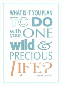 WhatDoYouPlan_Graphic